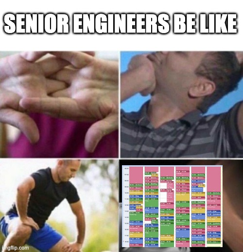 senior engineers be like meme